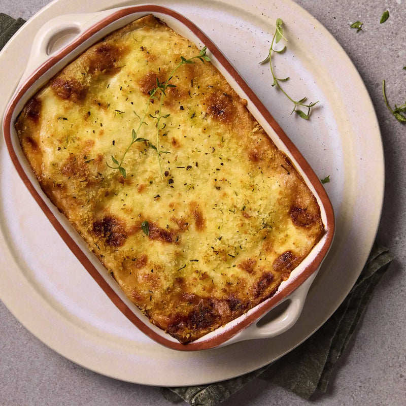 Creamy Chicken Lasagne - Proactive Foods 
